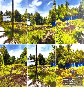 LAND ONLY for Sale in Kochi
