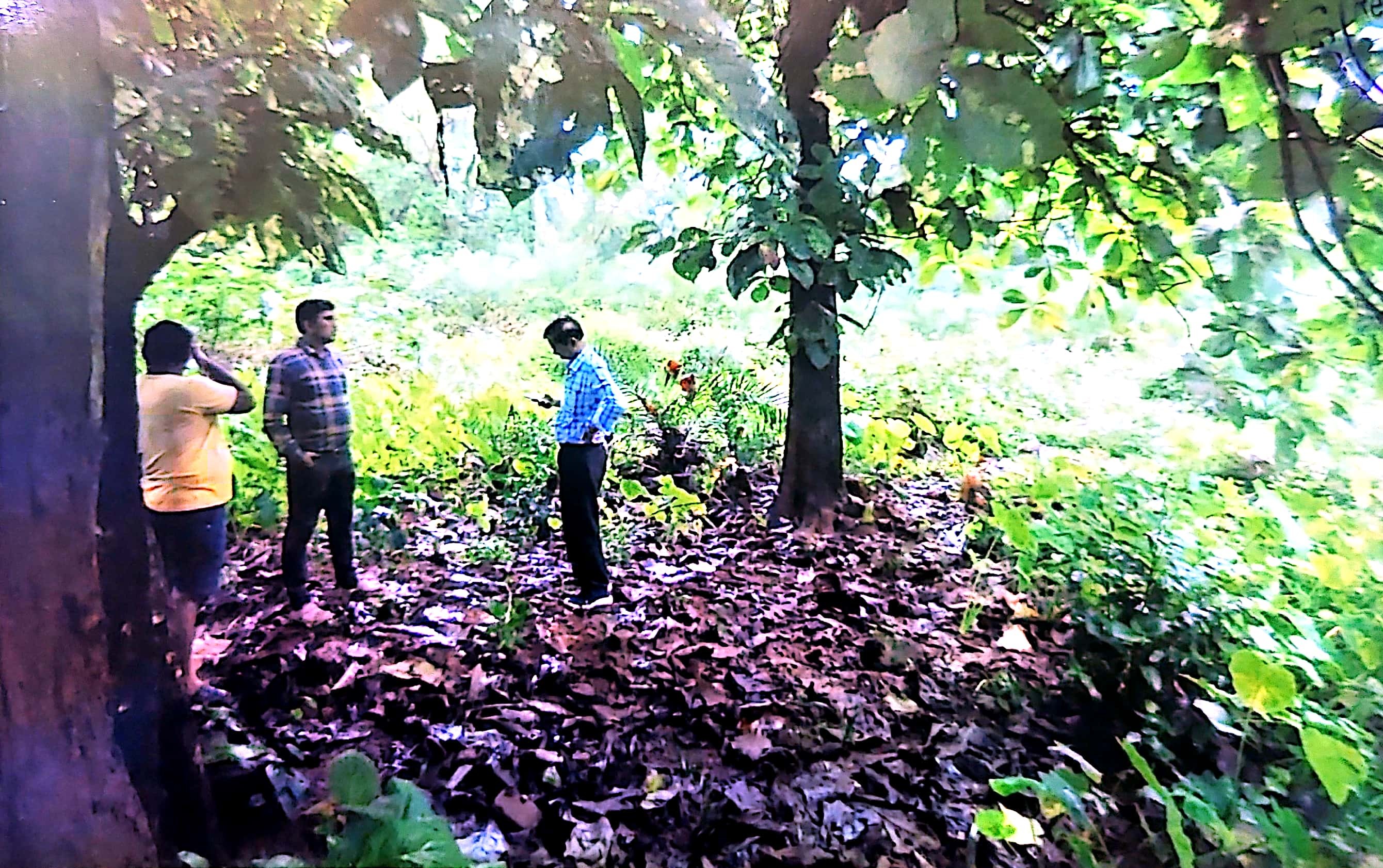 Plot for Sale in Pallahara, Palalahada