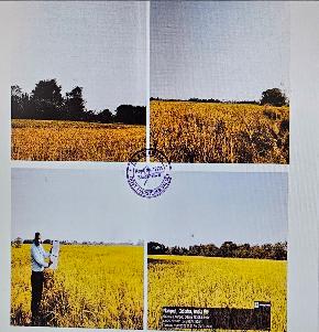 Plot for Sale in Bhubaneswar