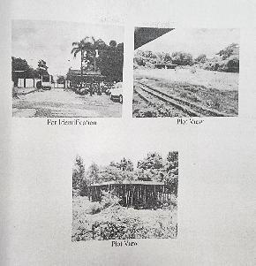 Plot for Sale in Bandora