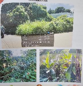 LAND AND BUILDING for Sale in Thrissur