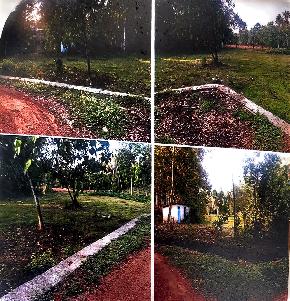LAND ONLY for Sale in Kunnathunad