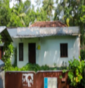 Individual House for Sale in Bharanikkavu
