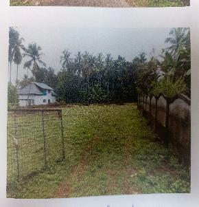 Plot for Sale in Kariparamba, Alur