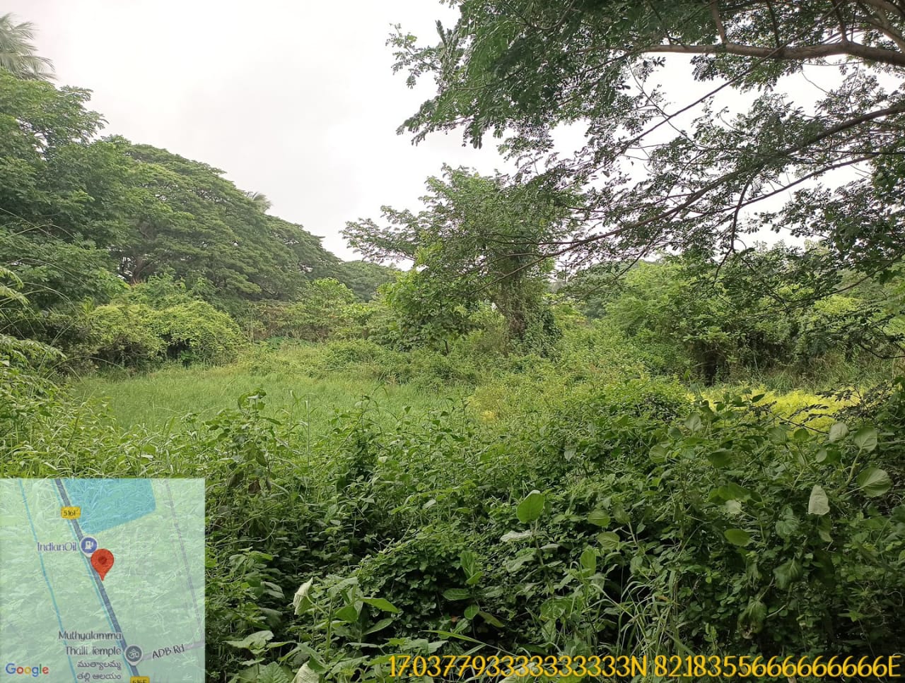 Plot for Sale in Samalkot