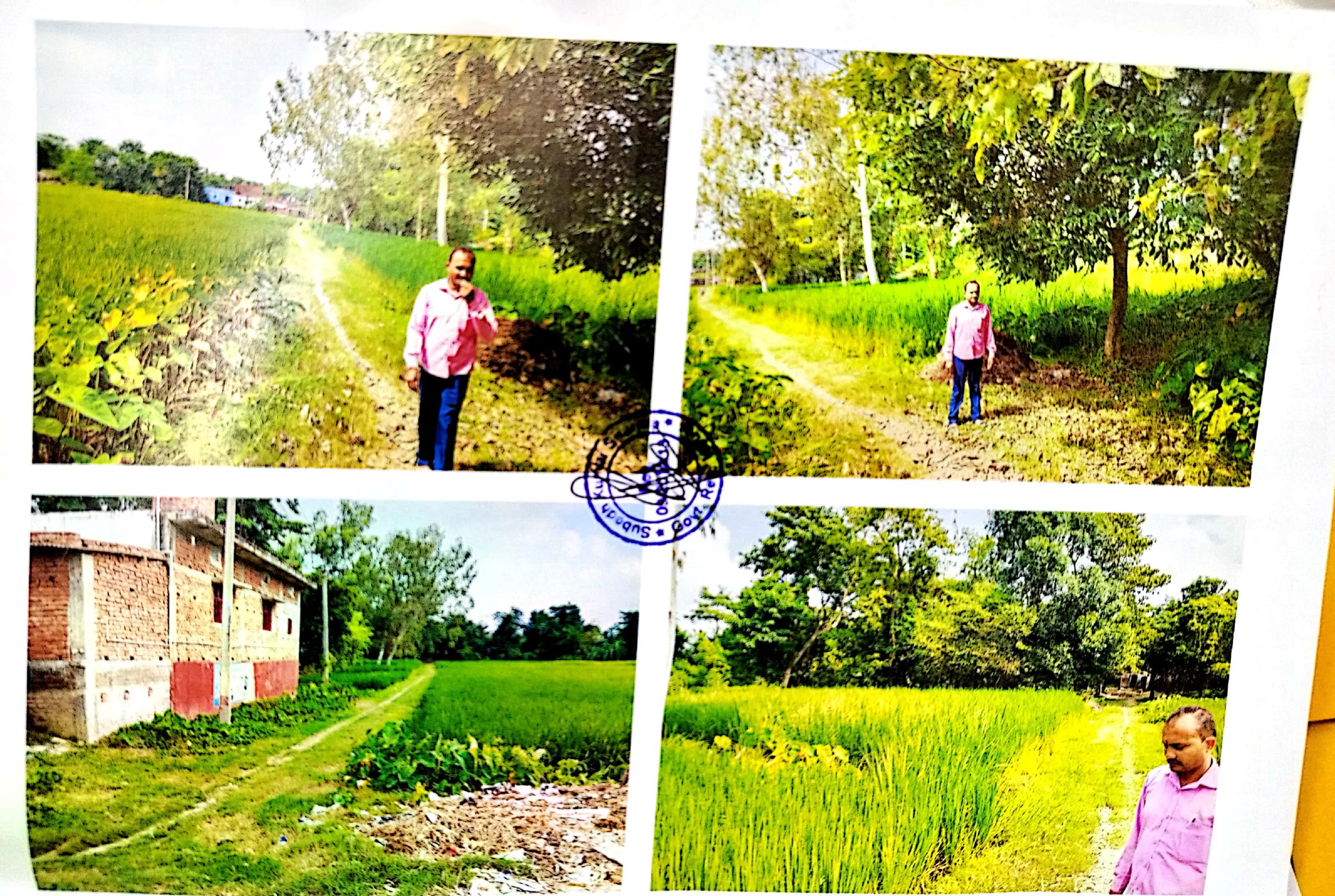 Plot for Sale in Bairganiya, Bairgania