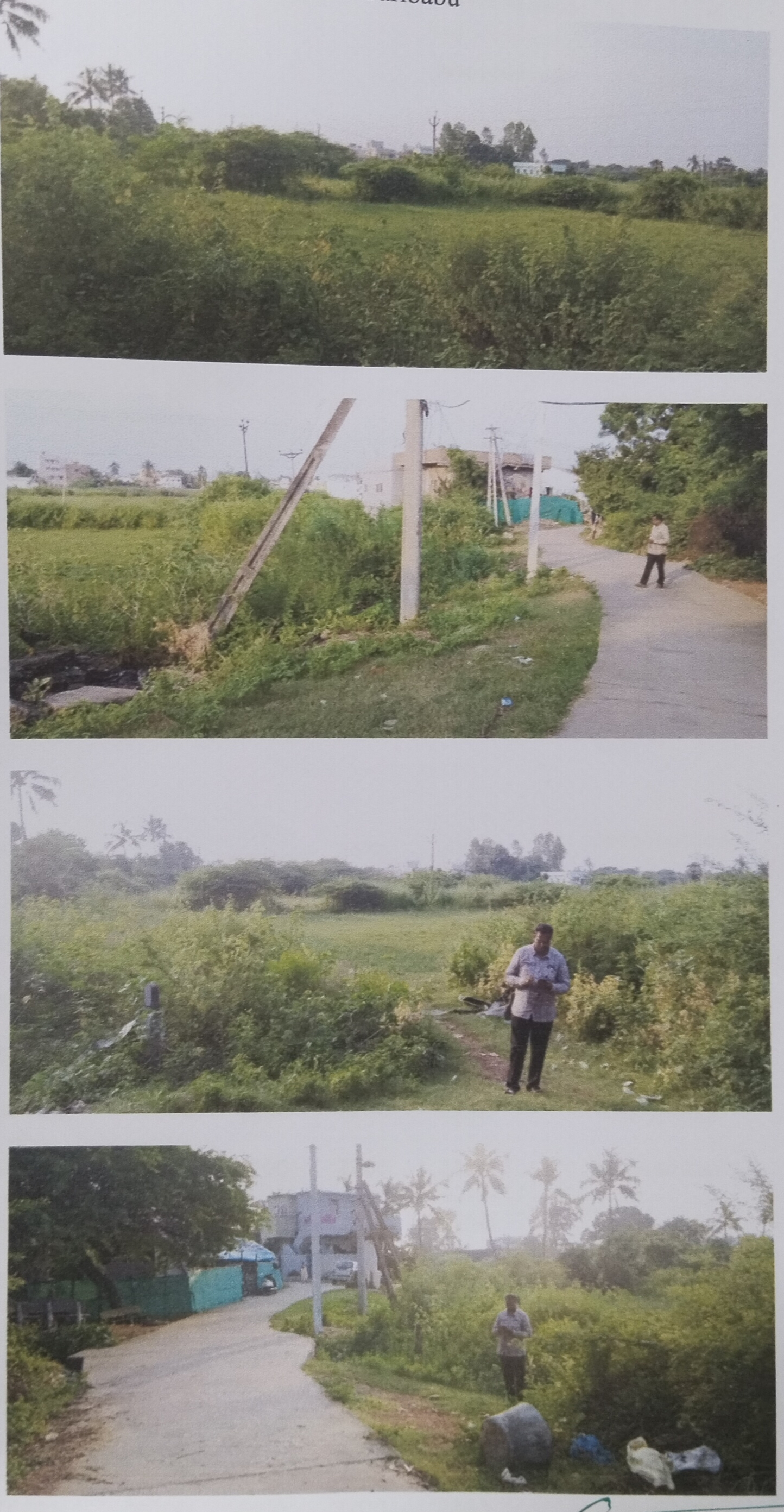 Plot for Sale in Naragani Suribabu, Subrahmanyam colony, Eluru