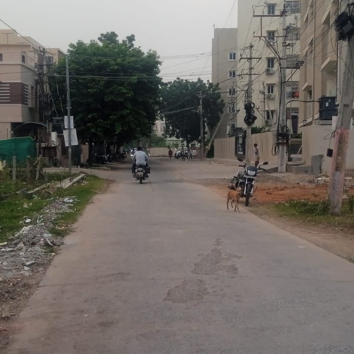 Plot for Sale in Guntur