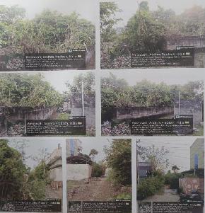 Plot for Sale in Amaravati
