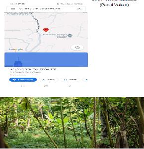 open land for Sale in chengannur taluk, alappuzha district , kerala State, Adoor
