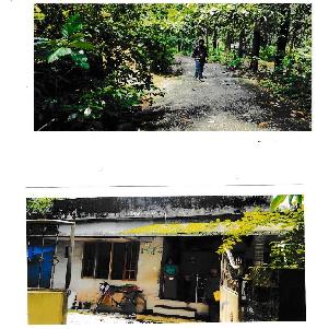 Individual House for Sale in Thiruvananthapuram