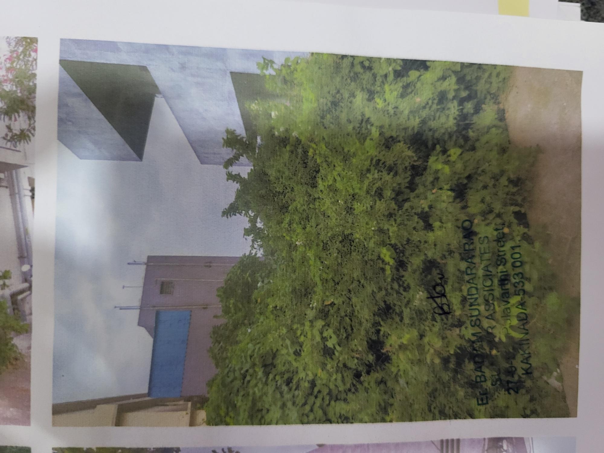 Plot for Sale in kakinada, Kakinada