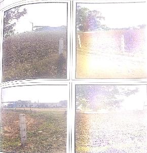 Plot for Sale in Gadarwara