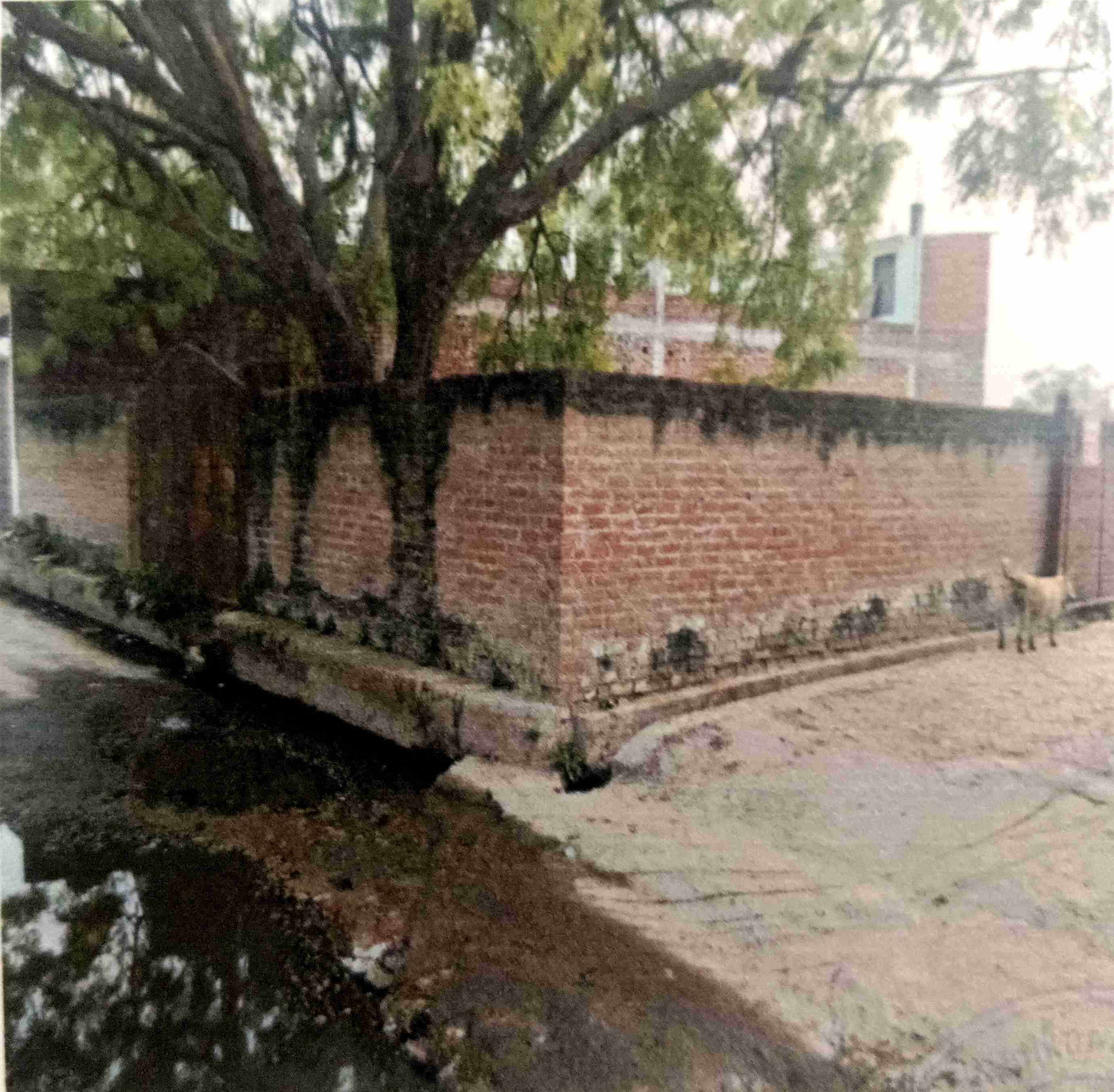 Individual House for Sale in hardoi, Hardoi