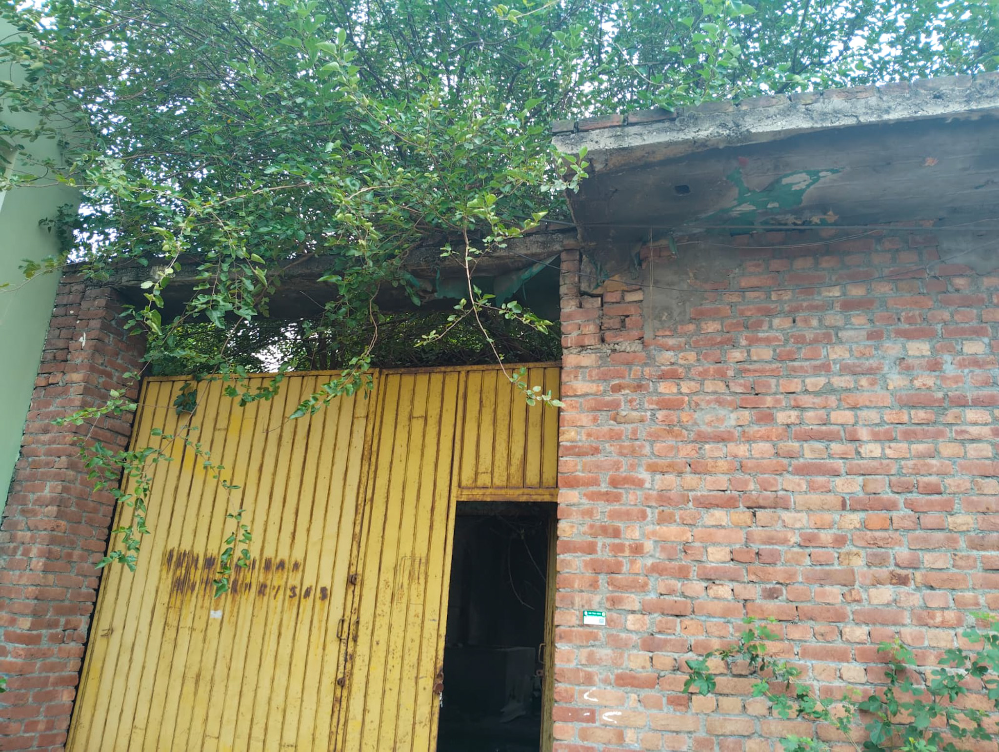 Individual House for Sale in Jalandhar