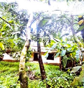 Individual House for Sale in ERNAKULAM, Alangad