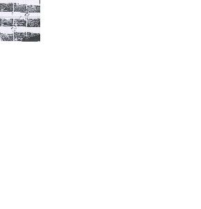 SHOPS AND LAND for Sale in Berasia