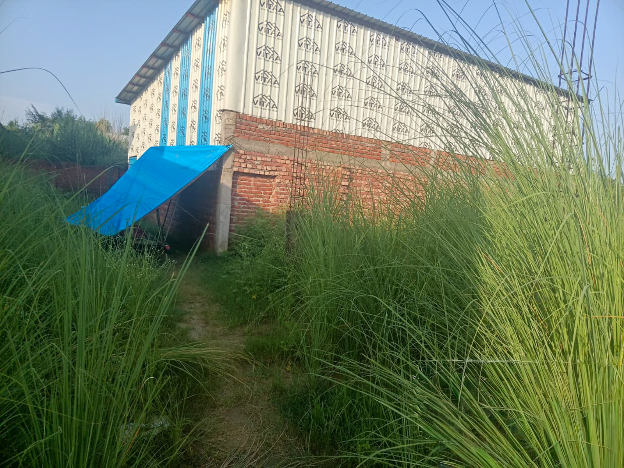 Industrial Plot with Factory Building for Sale in INDUSTRIAL, Pandogha Industrial Area