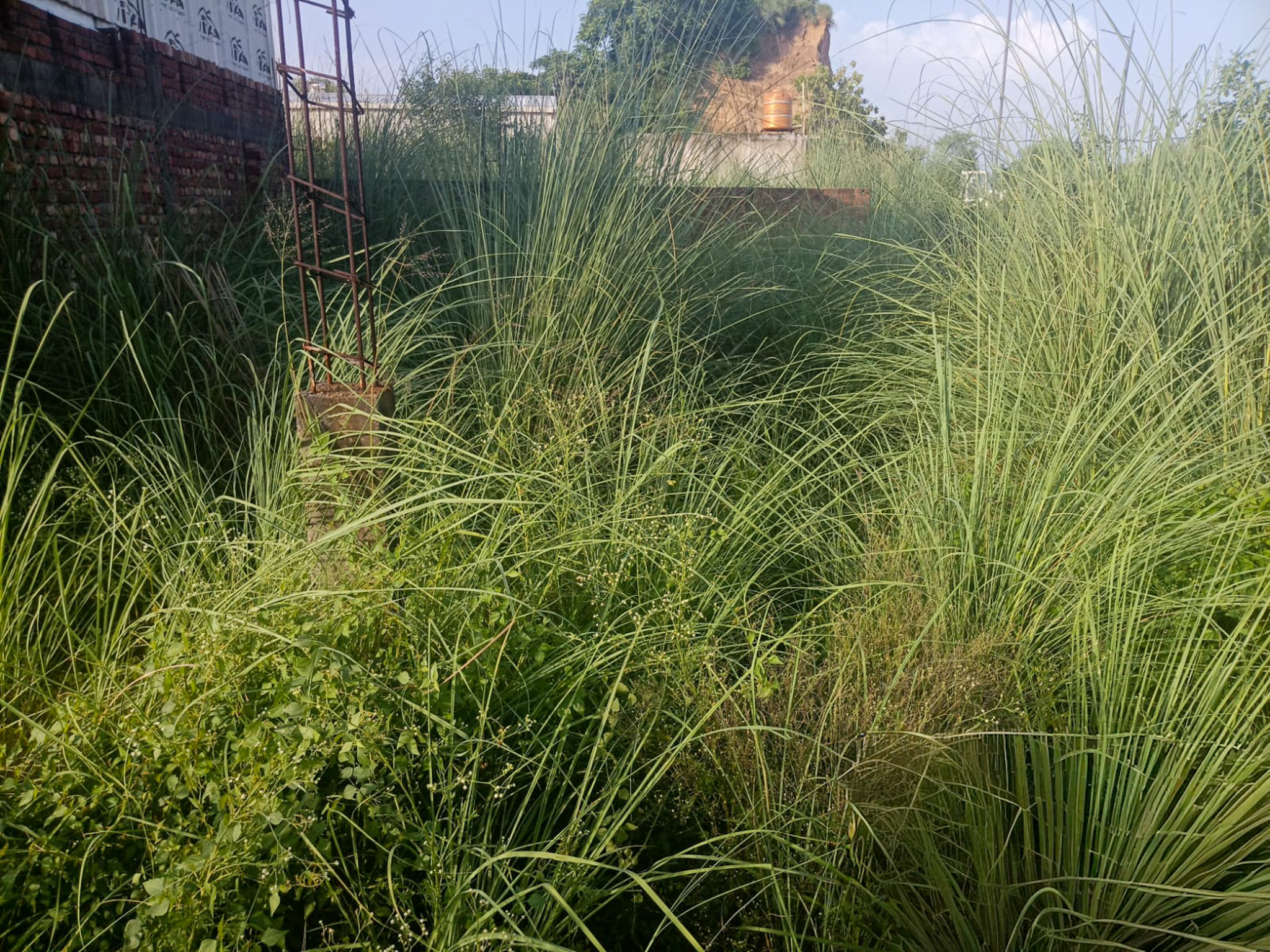 Industrial Plot with Factory Building for Sale in INDUSTRIAL, Pandogha Industrial Area