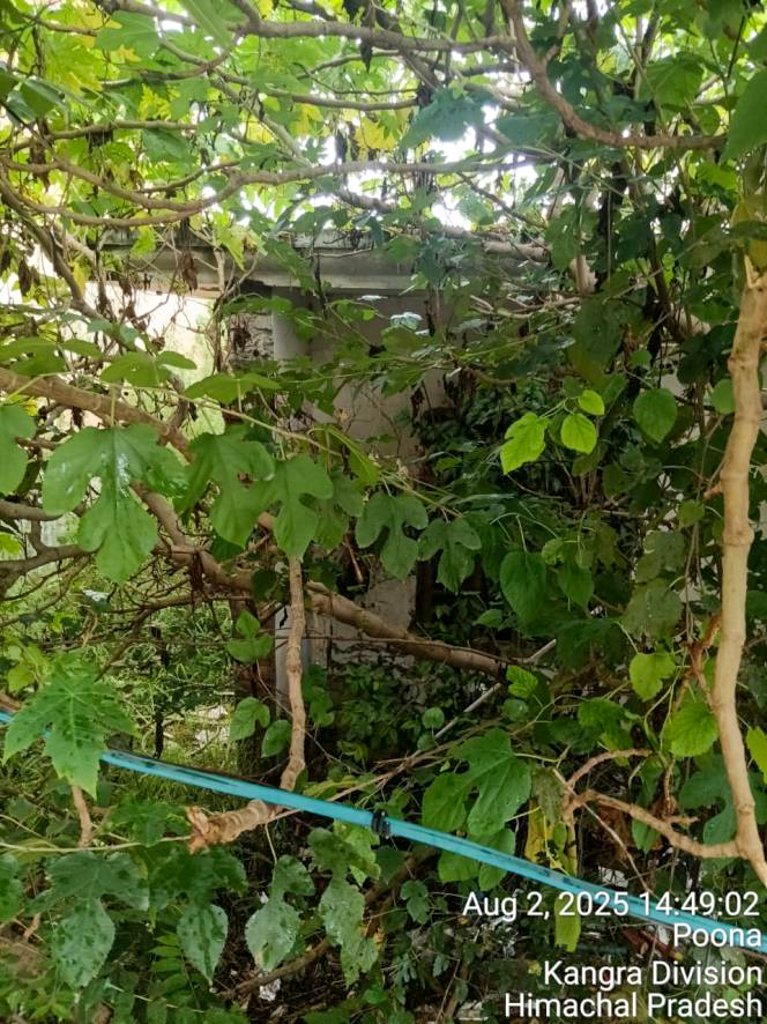 Individual House for Sale in Mehatpur