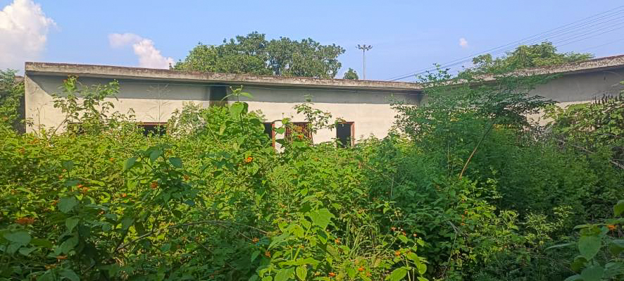 Industrial Shed for Sale in Basal Industrial Area
