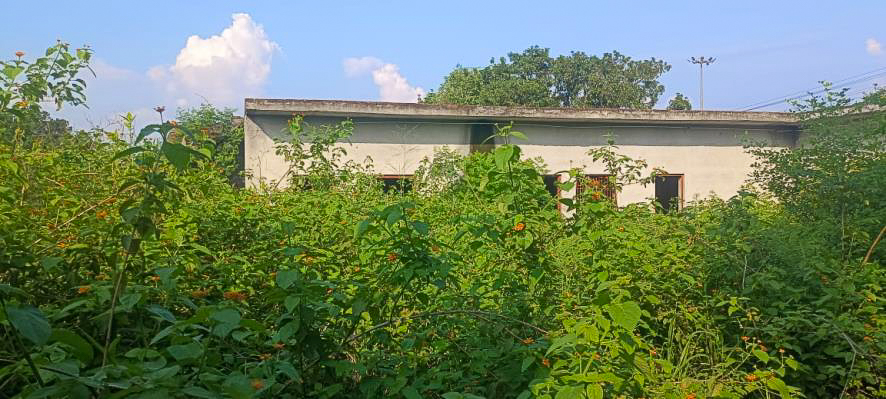 Industrial Shed for Sale in Basal Industrial Area