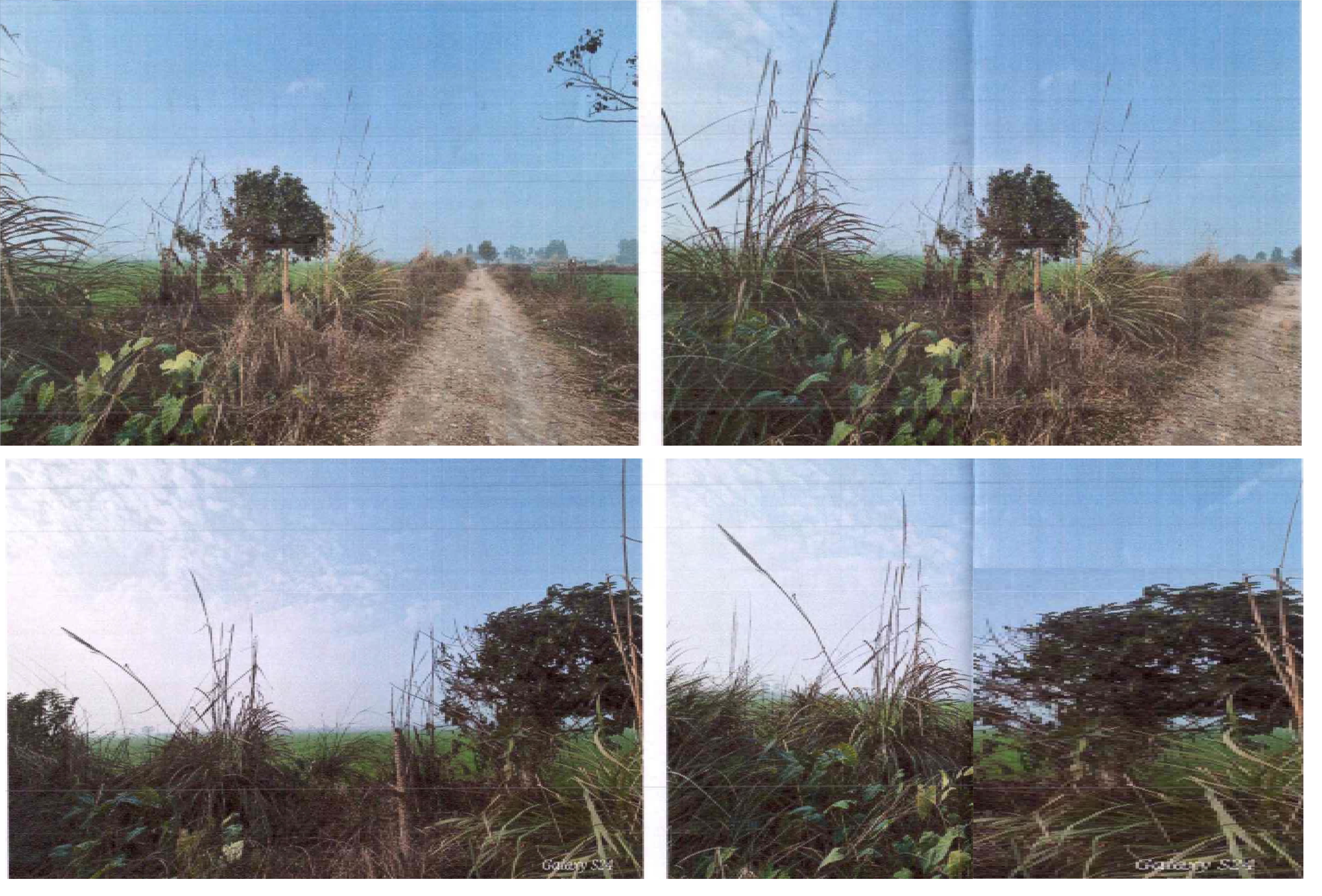 Plot for Sale in Bazpur