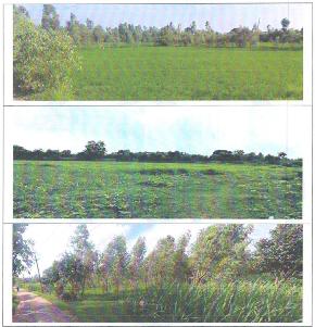 Plot for Sale in Jaspur