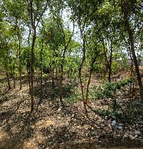 Plot for Sale in Gurugram