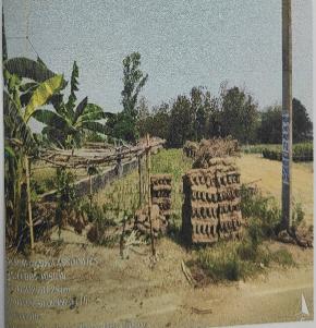 Plot for Sale in Village/Mauza - Bhore, Thana - Bhore, P.S - Bhore, Distt. Gopalganj, Gopalganj