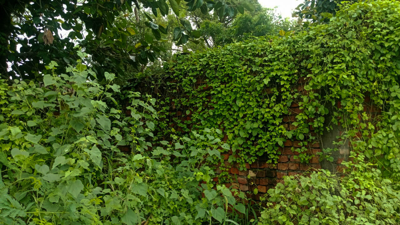 Industrial Plot with Factory Building for Sale in village vancheri, Amritsar