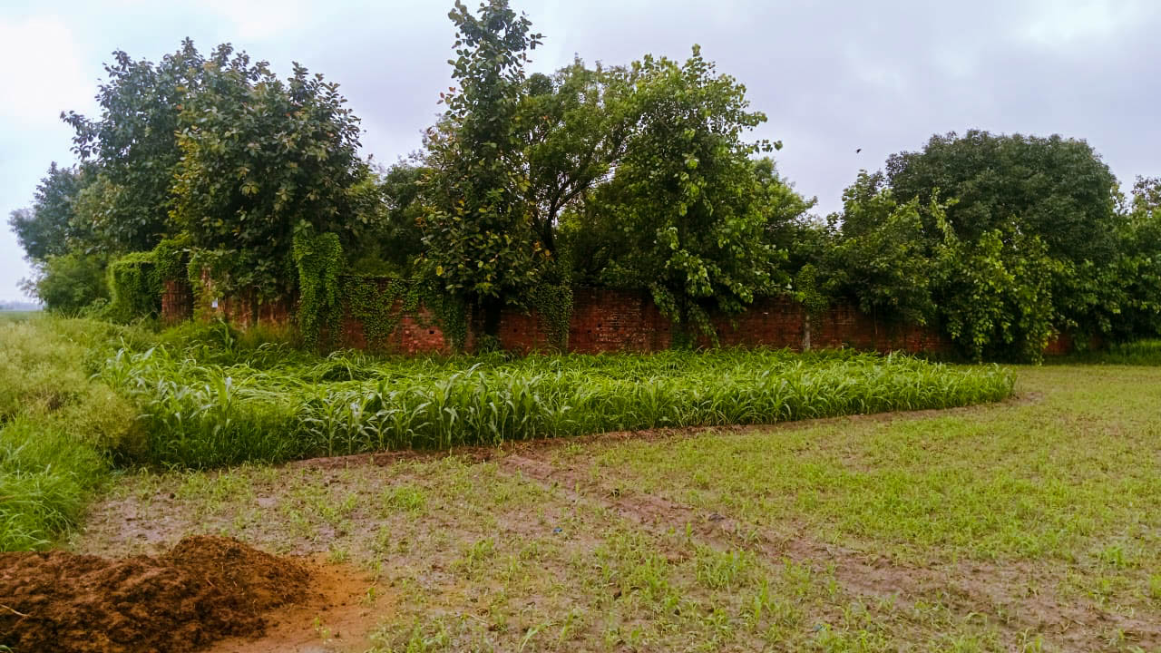Industrial Plot with Factory Building for Sale in village vancheri, Amritsar