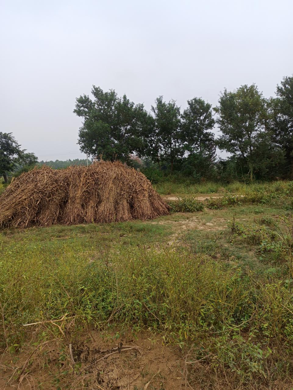 Plot for Sale in Aligarh