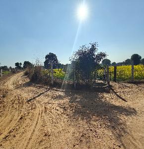 Industrial Plot for Sale in RURAL, Chomu