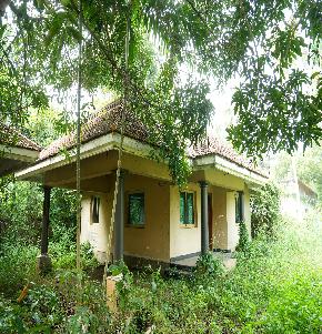Farm House for Sale in Chingoli Vllage, Karthikapally, Alappuzha, Cheppad