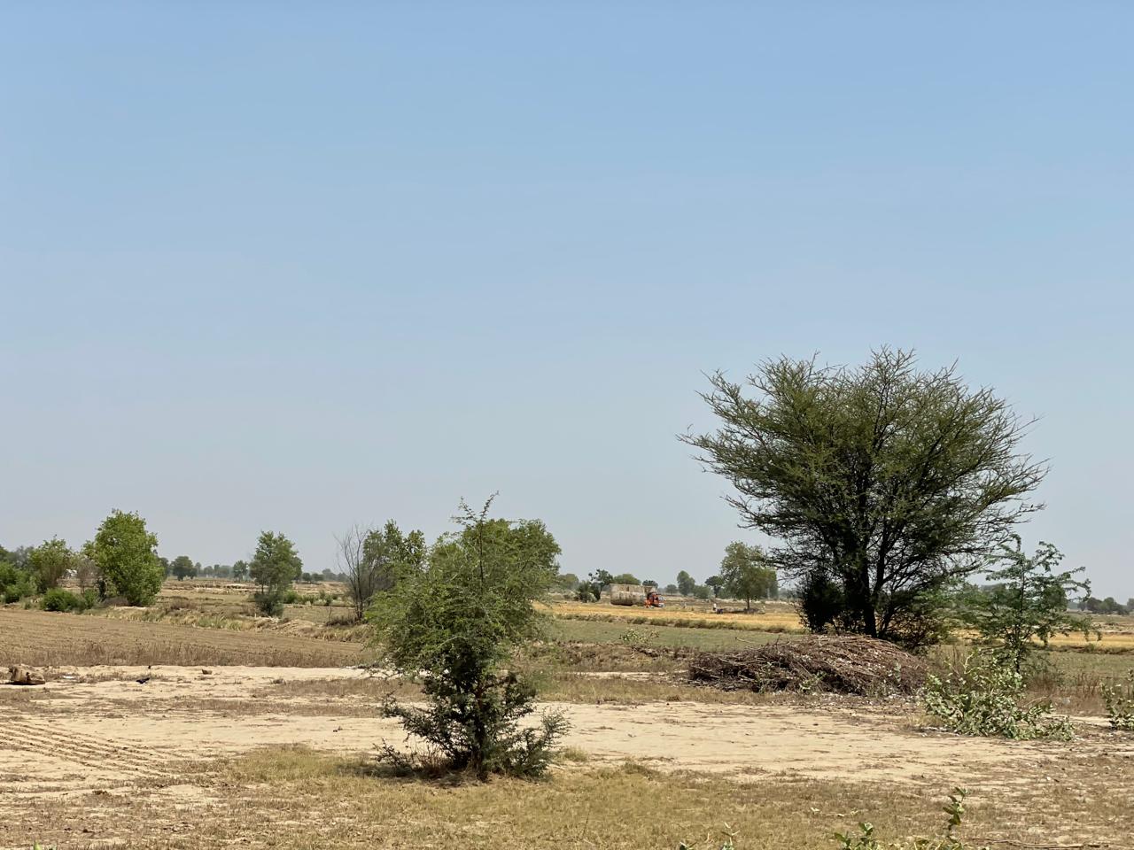 Plot for Sale in Sardulgarh
