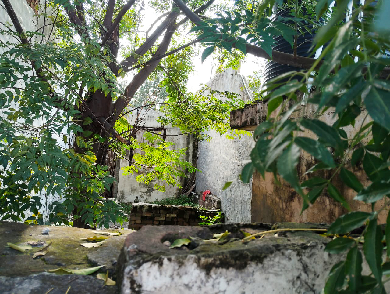 Individual House for Sale in Bhogpur