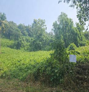 LAND for Sale in KILLANNUR, Killannur