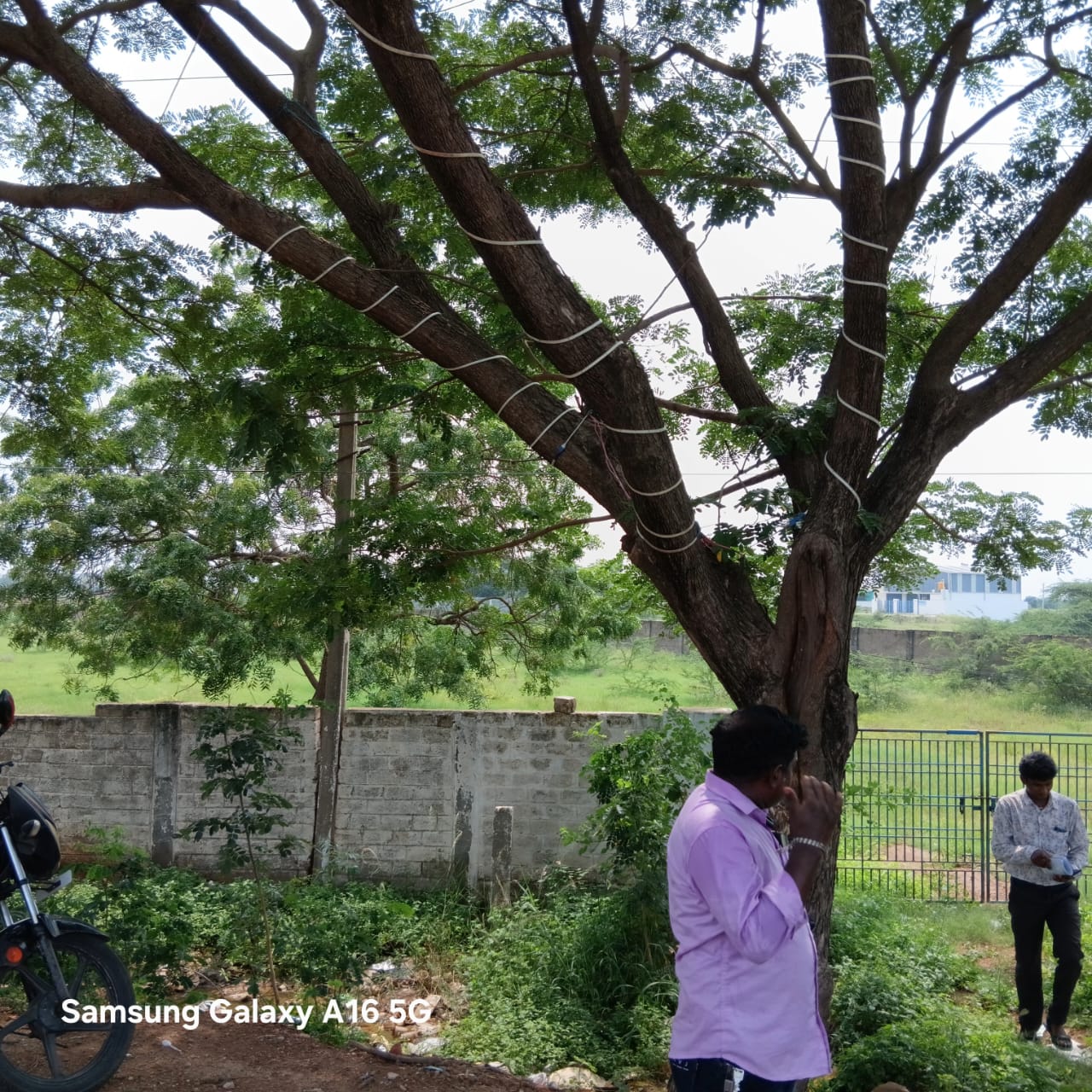 Plot for Sale in Nellore