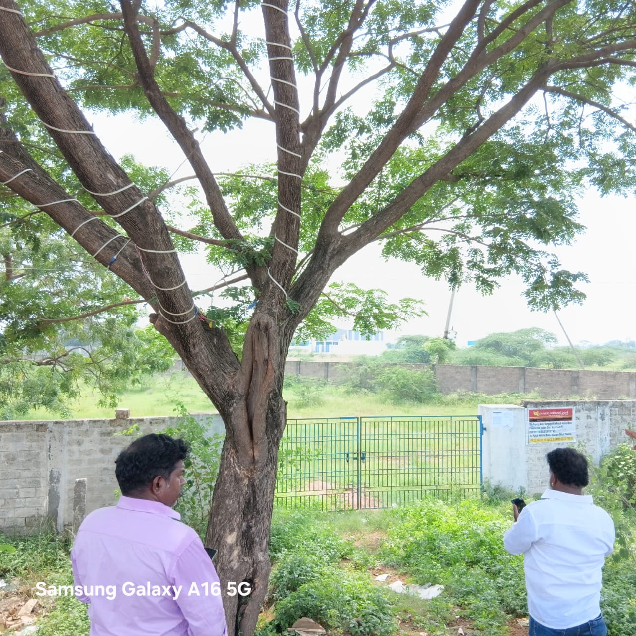Plot for Sale in Nellore