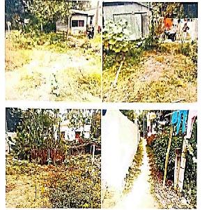 Plot for Sale in Krishnanagar
