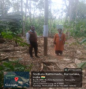 COFFEE ESTATE for Sale in Madikeri